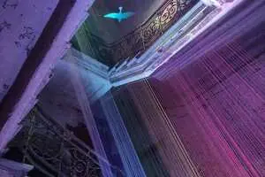 Летаргия