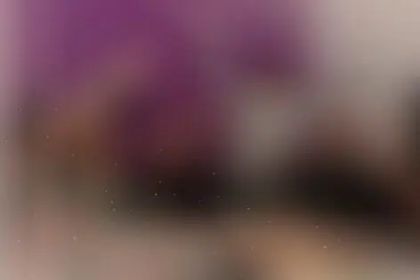 Квиз «Полная ребусня» от Полная ребусня