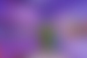 Фотография квеста Лаборатория доктора Хибберта от компании Корпорация праздников (Фото 3)