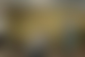 Фотография квеста Детективная история: идеальное ограбление от компании Клаустрофобия (Фото 1)