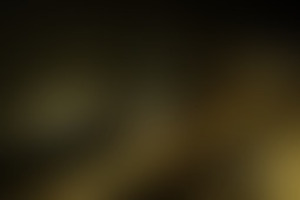 Фотография квеста Фобия от компании Quest Notsee (Фото 1)