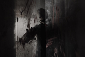 Фотография перформанса Зов пропавших от компании Виктим (Фото 1)